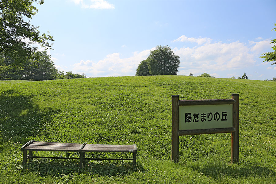 上野森林公園