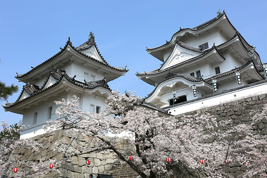 伊賀上野城